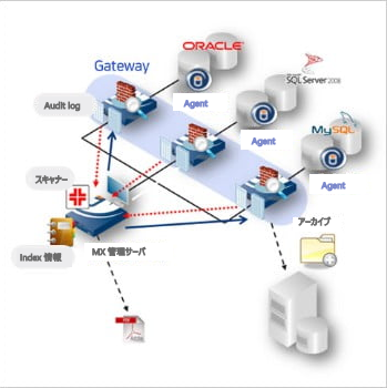 Database Security 구성 화면